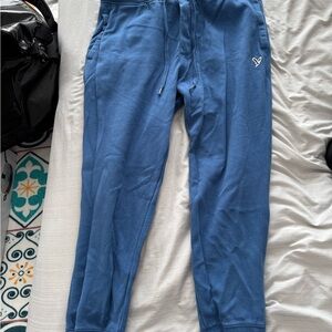American Eagle Outfitters Blue Sweatpants Joggers
